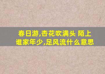 春日游,杏花吹满头 陌上谁家年少,足风流什么意思